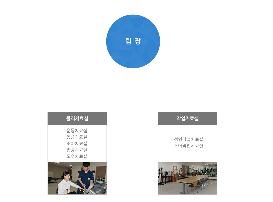 조직도